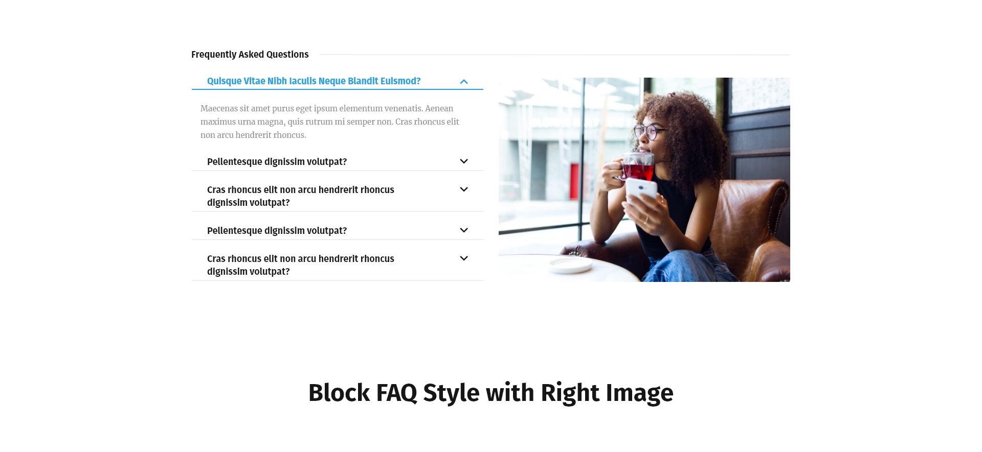Block FAQ Style with Right Image