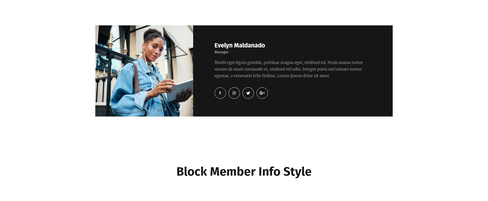 Block Member Info Style