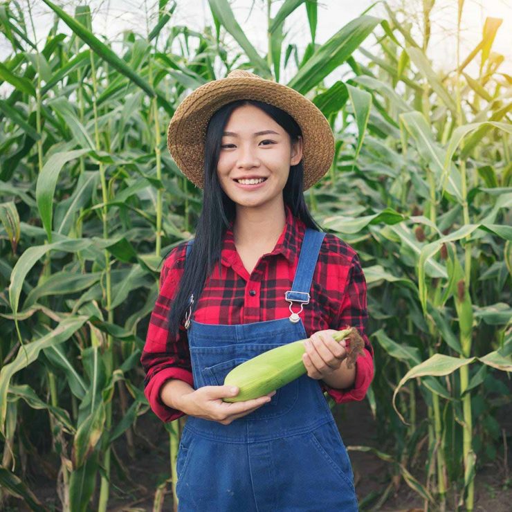 happy-farmer-in-the-corn-field-PWW4LKQ.jpg